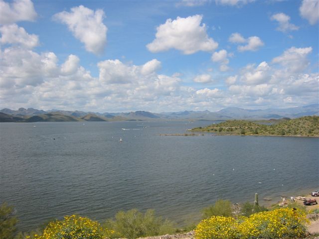 Arizona 006